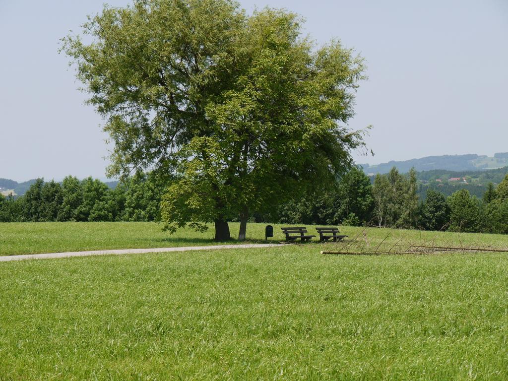 Hotel Seiserhof & Seiseralm Bernau am Chiemsee Exteriör bild